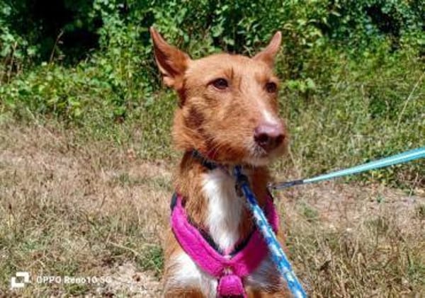 NICKI ❤ zerbrechlich, leise, tapfer