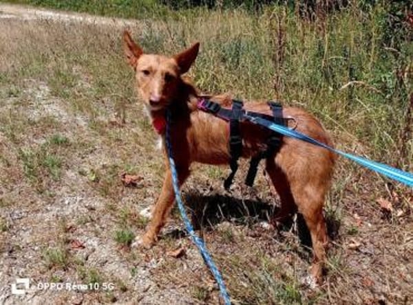 NICKI ❤ zerbrechlich, leise, tapfer