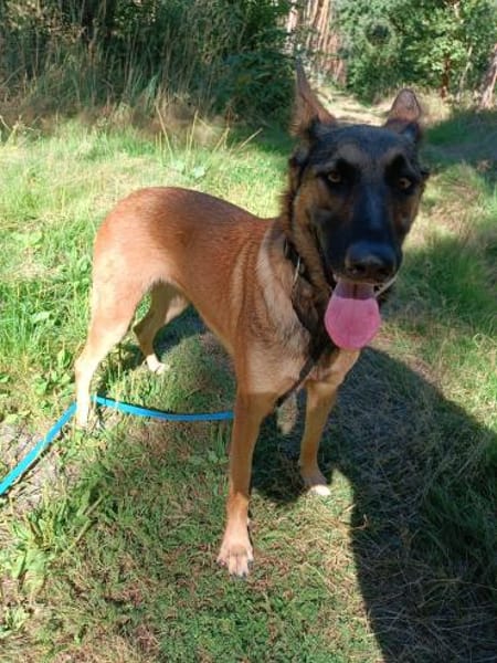 Ina auf PS in Bad Düben