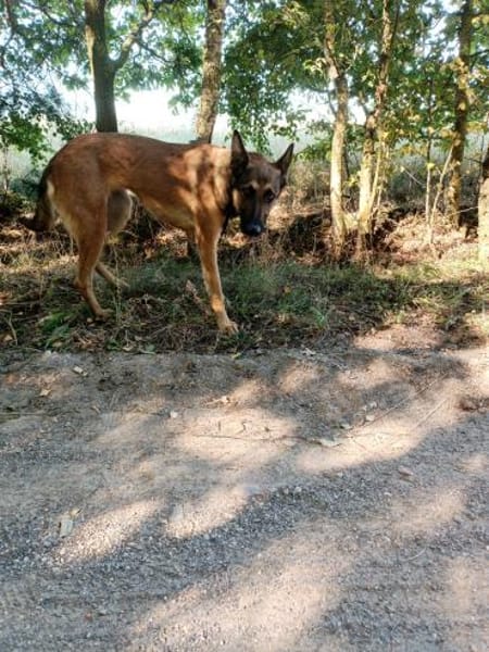 Ina auf PS in Bad Düben