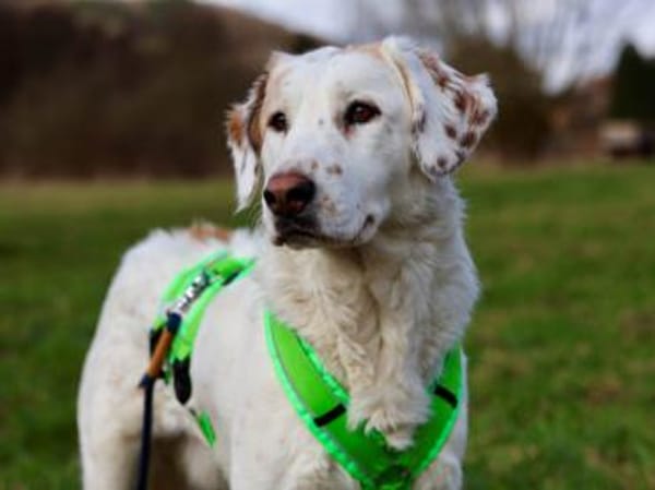 Frisko freut sich auf Sie!