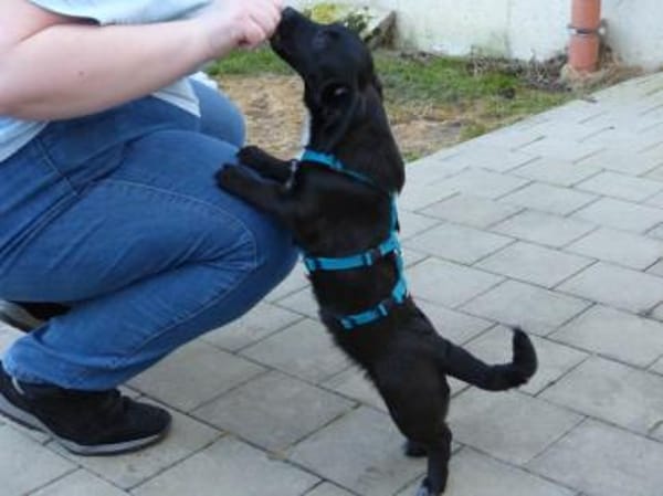 Gibt es liebe Menschen für Penko?