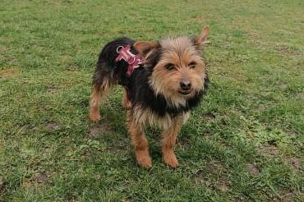 Luciana - wartet in Köln