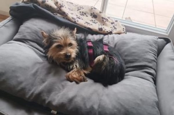 Luciana - wartet in Köln