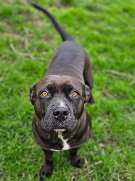 Paty, attend depuis trop longtemps