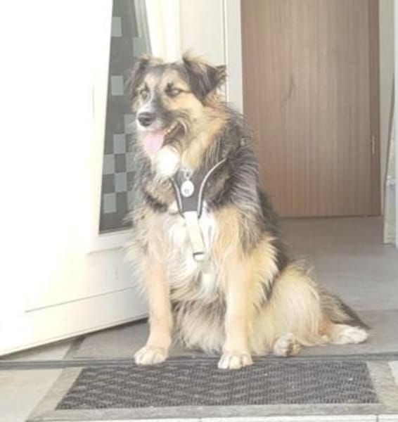 Lucy braucht ihre Menschen