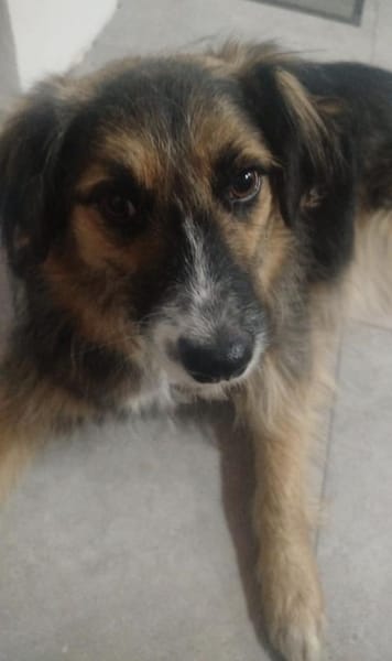 Lucy braucht ihre Menschen