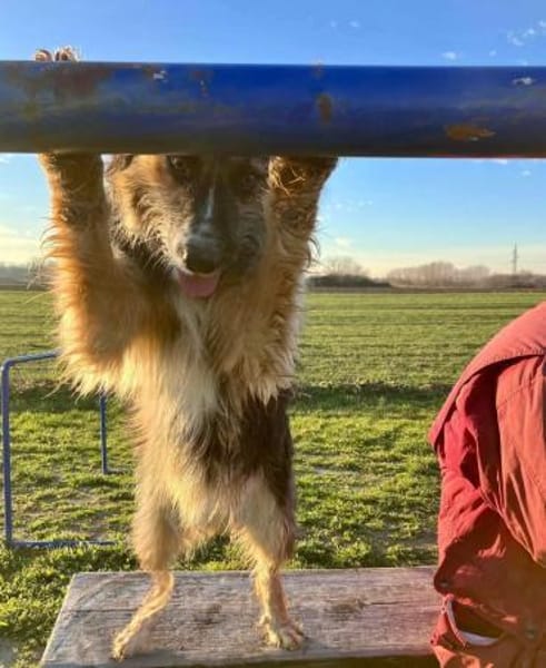 Lucy braucht ihre Menschen