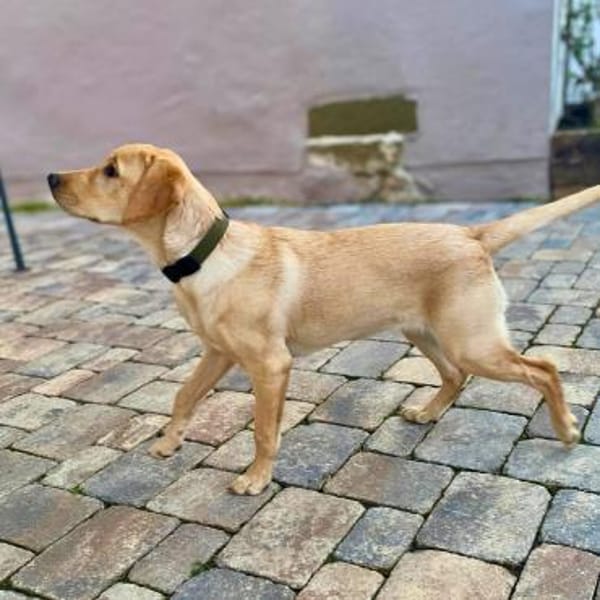 Hera - ist aufgeschlossen