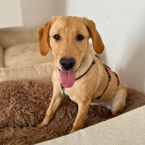 Hera - ist aufgeschlossen