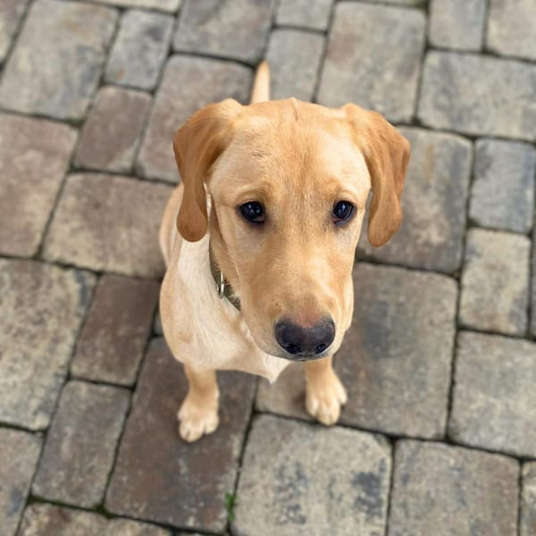 Hera - ist aufgeschlossen