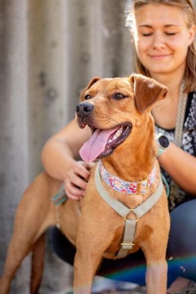 Abigail, liebevoller Sonnenschein, 4J 24