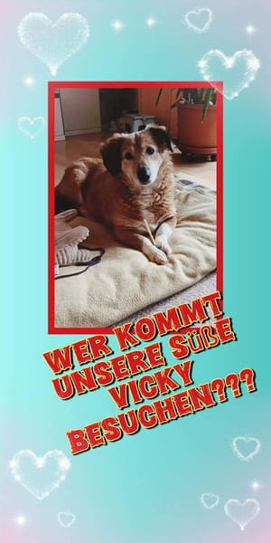 süße kleine Vicky auf PS in 90562