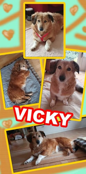 süße kleine Vicky auf PS in 90562