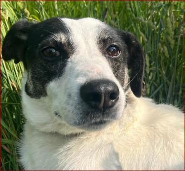 Paulines tolle Veränderung