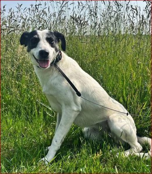 Paulines tolle Veränderung