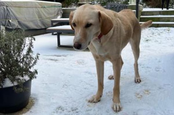 OliviaCarina - wartet in 53343 Wachtberg