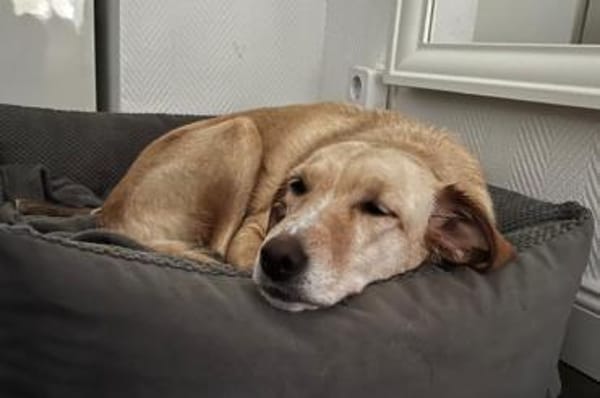 OliviaCarina - wartet in 53343 Wachtberg