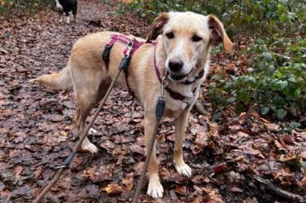 OliviaCarina - wartet in 53343 Wachtberg