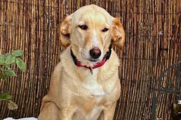 OliviaCarina - wartet in 53343 Wachtberg