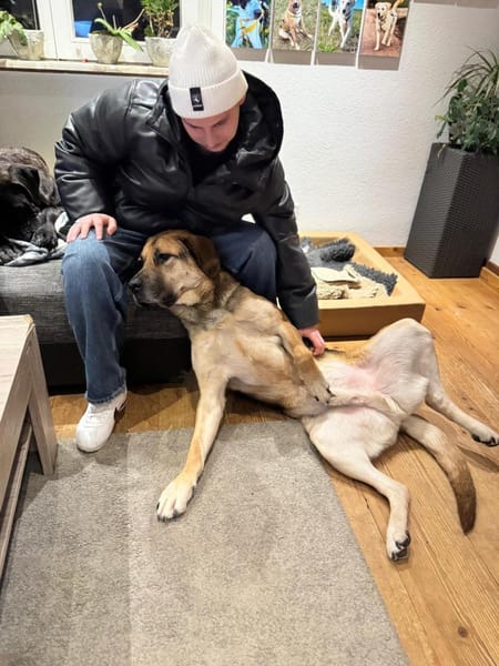 Der liebe Theo sucht sein ZUhause