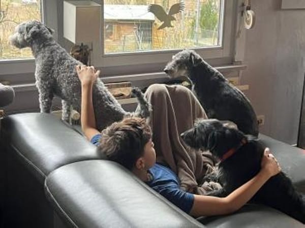 Bonus der Anhängliche