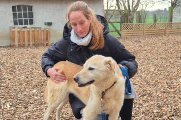 Cremona - wartet in 33154 Salzkotten