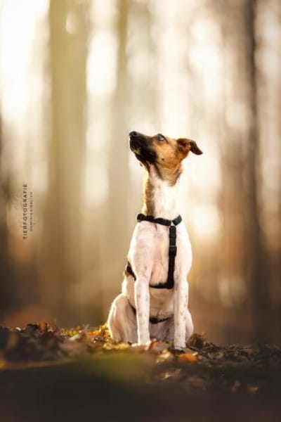 Naila steckt voller Lebensfreude