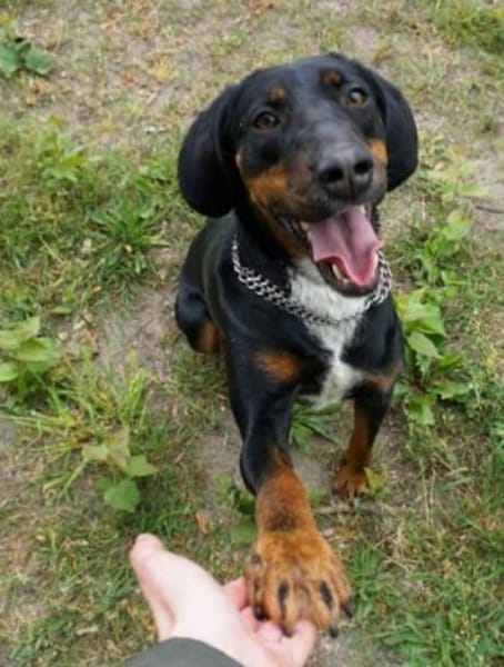 Jolene sucht erfahrene Menschen