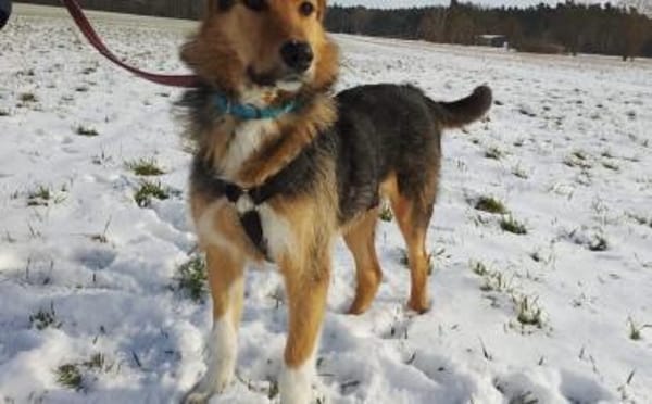 Flinti freut sich auf dich