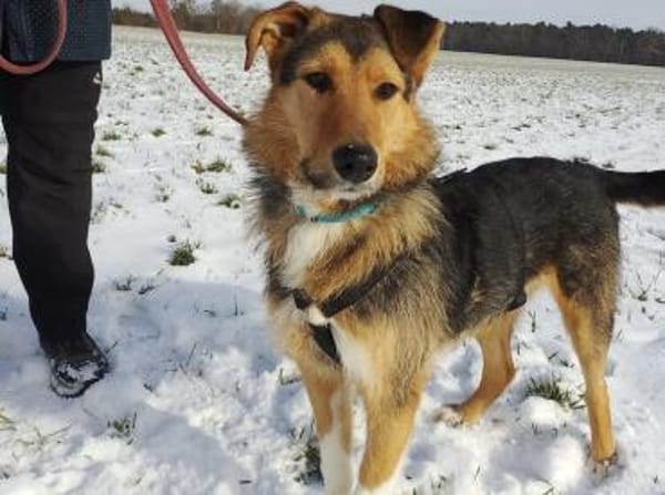 Flinti freut sich auf dich