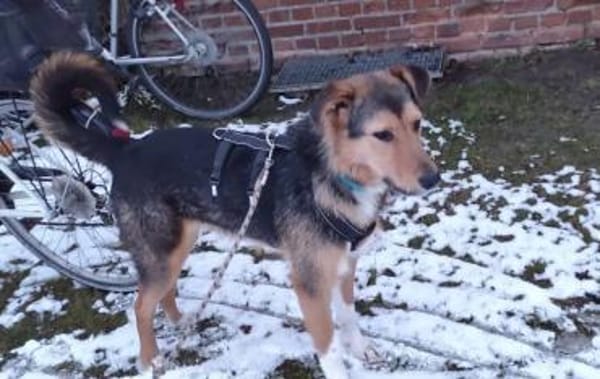 Flinti freut sich auf dich