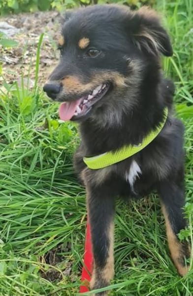 bezaubernde kleine Motte 🥰