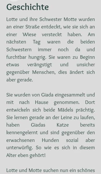 bezaubernde kleine Motte 🥰