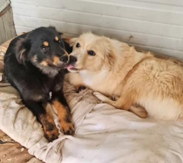 bezaubernde kleine Motte 🥰