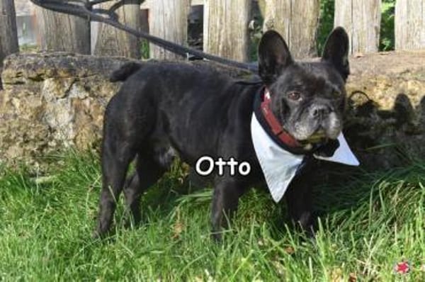 OTTO