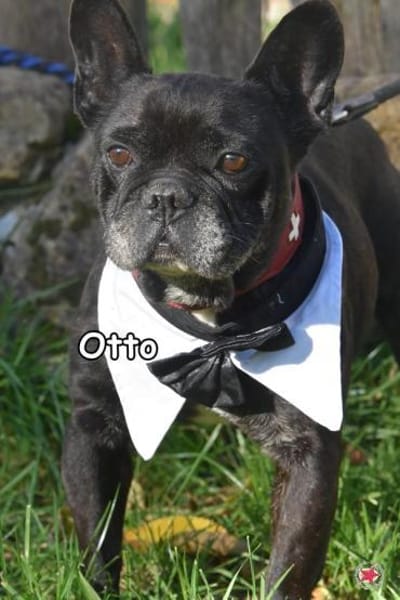 OTTO