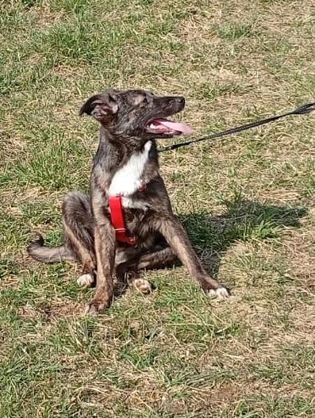 KAYA - aufmerksam, interessiert