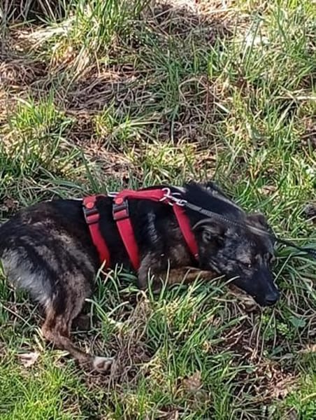 KAYA - aufmerksam, interessiert