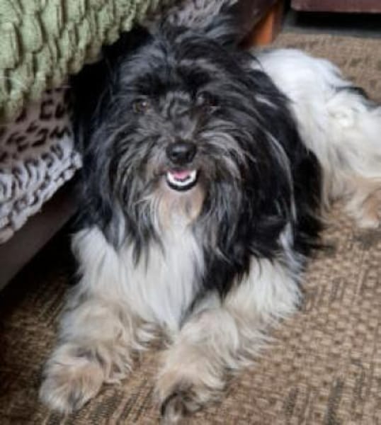 ZEDA - lieb&aufgeschlossen