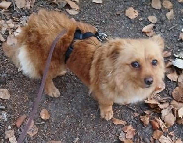 Gaby sucht ihre Herzmenschen