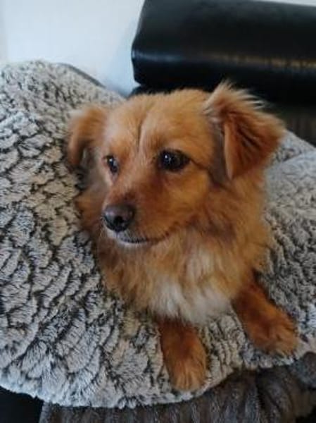 Gaby sucht ihre Herzmenschen