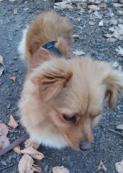 Gaby sucht ihre Herzmenschen