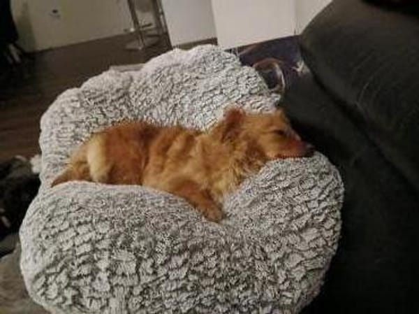 Gaby sucht ihre Herzmenschen