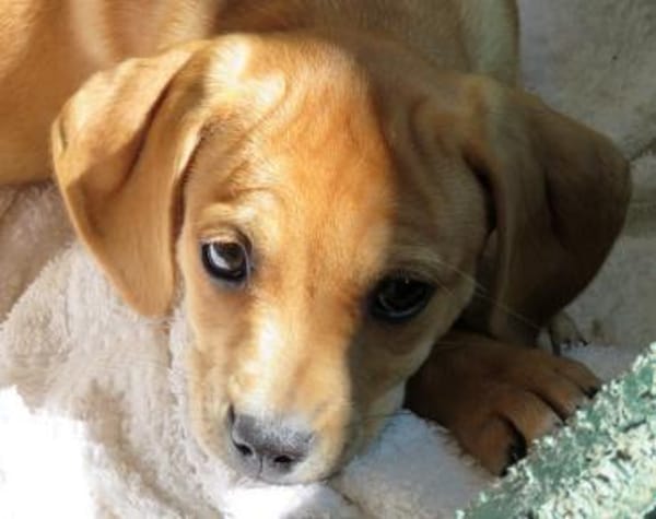 Fern 2 (zur Pflege in 80796 München)