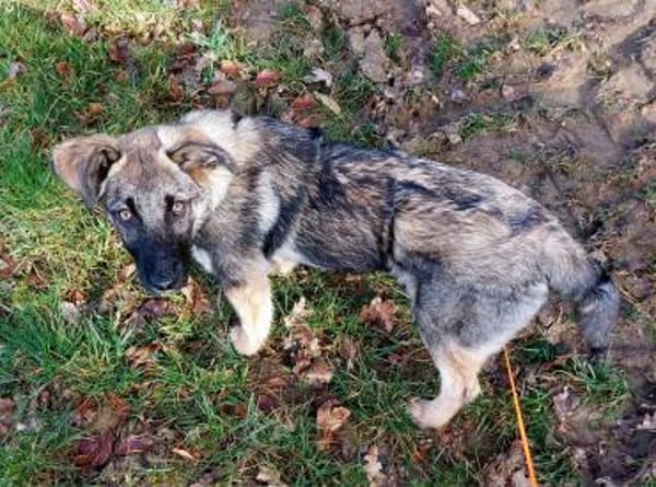 Marge  Naturliebhaberin sucht Ruhe