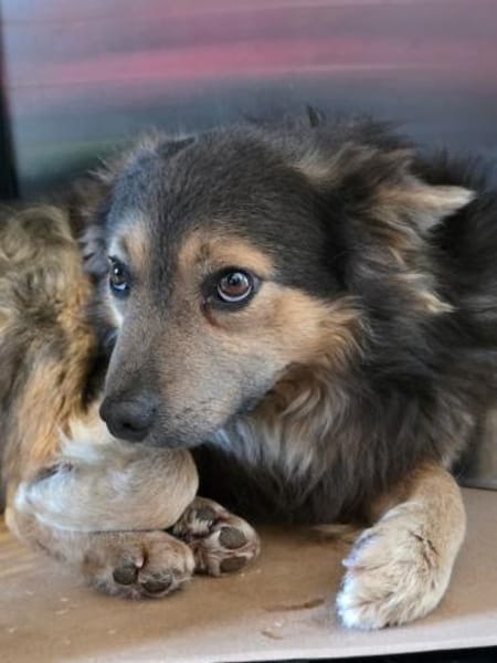 Theo möchte endlich dazugehören