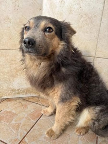 Theo möchte endlich dazugehören