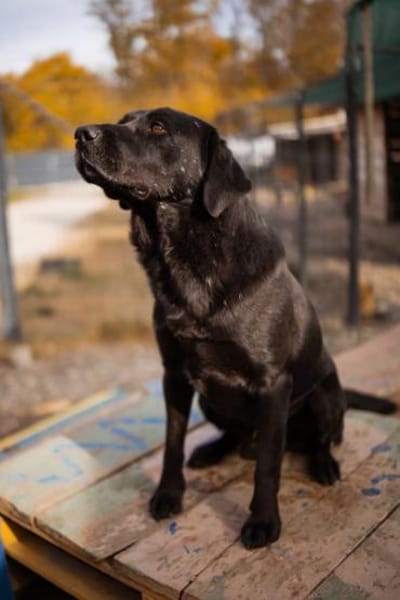 ARCHIEin 66583 Spiesen-Elversberg