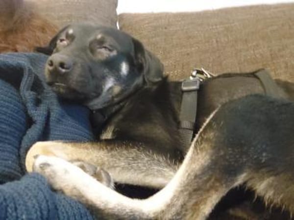 Zicco; Seelchen in Not